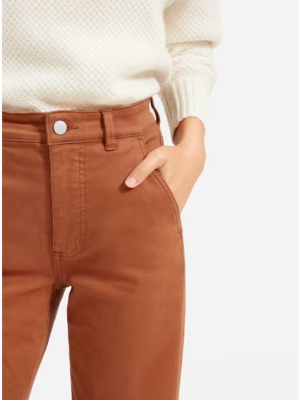 Everlane Straight-Leg High-Rise Pants in Rust Brown